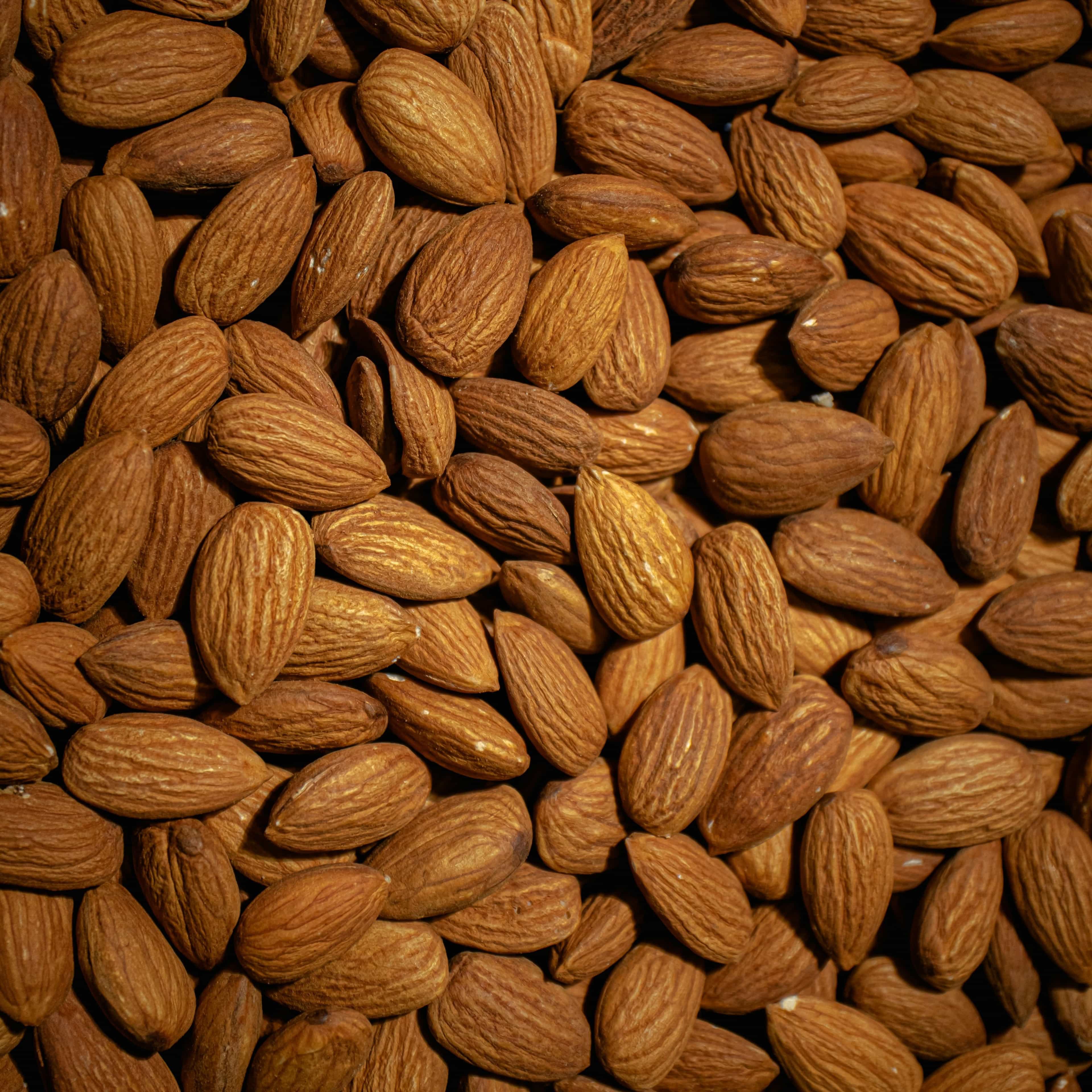 Almond processing equipment