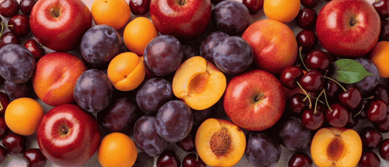 Stone fruit processing equipment