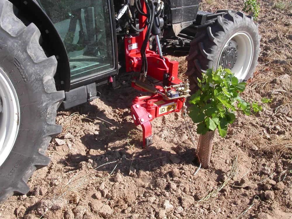 ID DAVID VENTRAL In-Row Weeder thumbnail 4