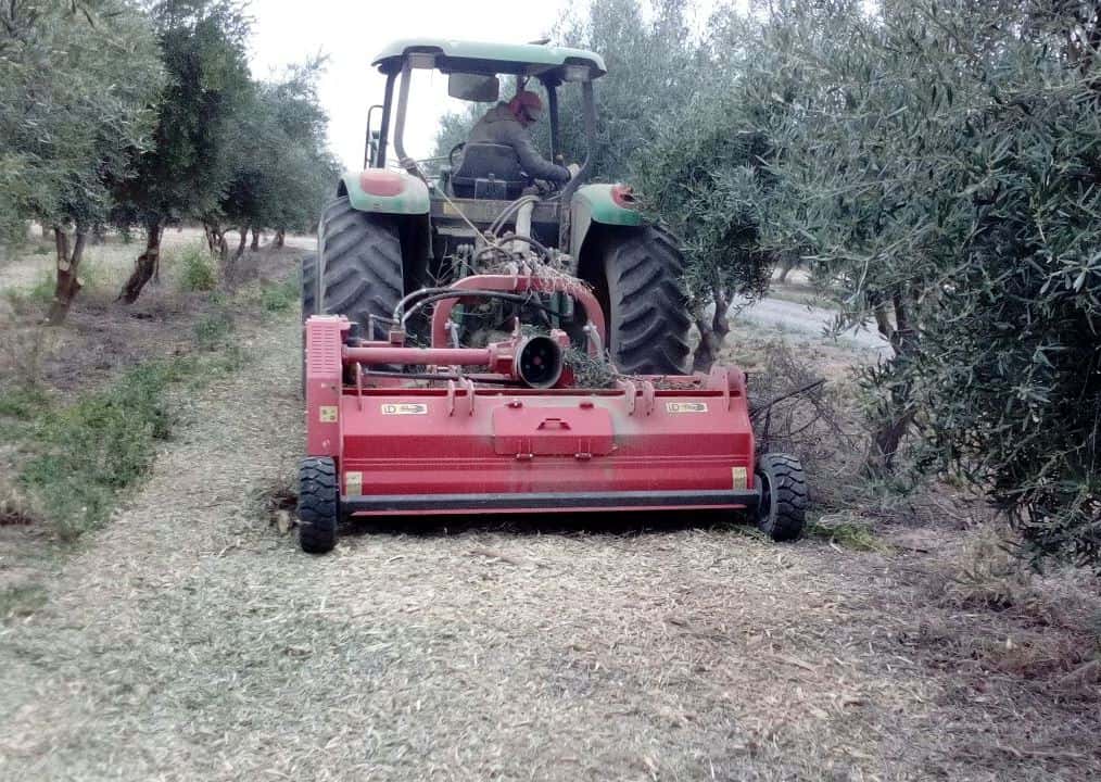 ID DAVID TD-KERR Flail Mower with Double Pick-Up thumbnail 2