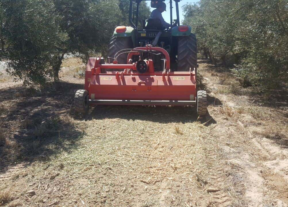 ID DAVID TD-KERR Flail Mower with Double Pick-Up thumbnail 3