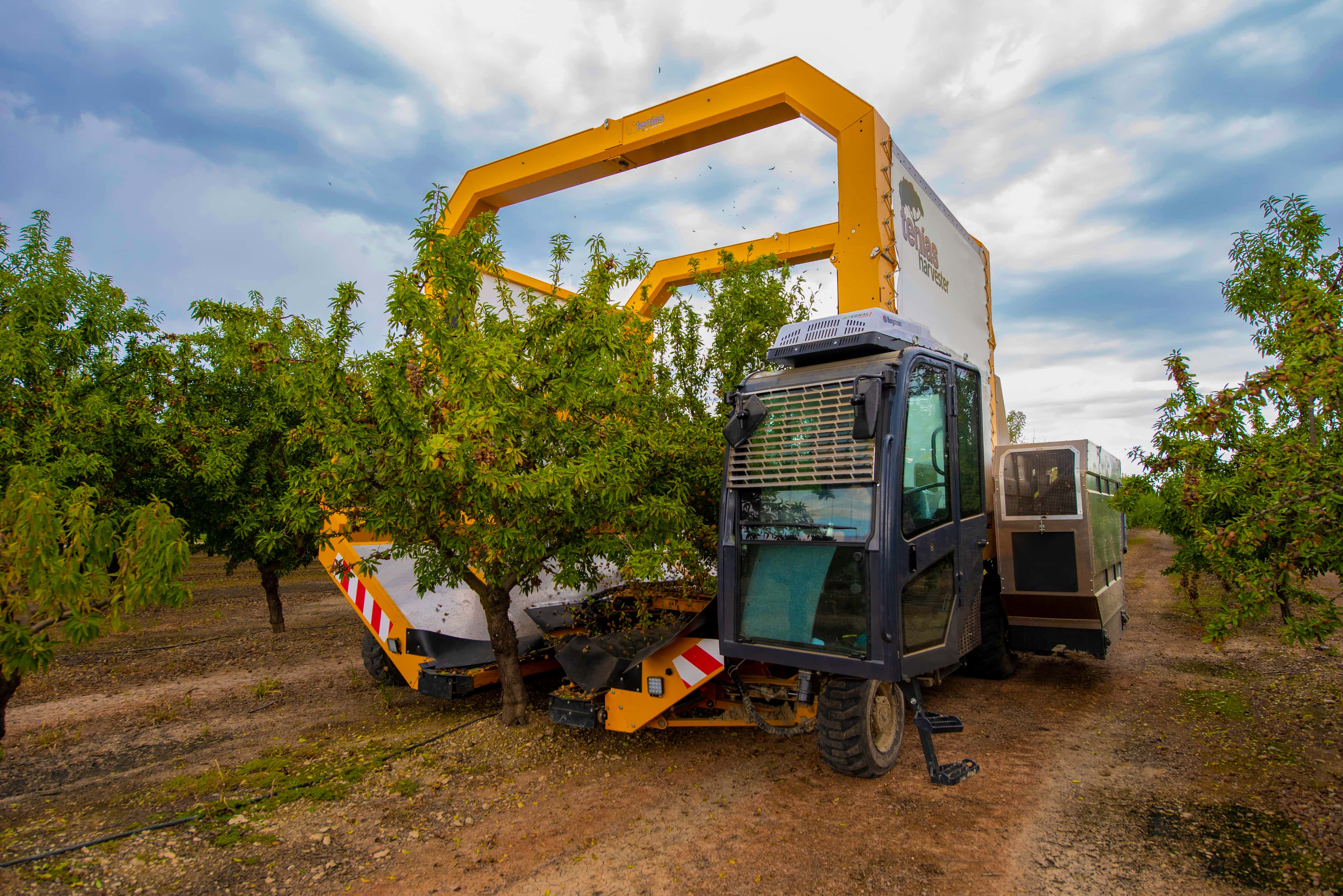 Tenias Harvester thumbnail 5