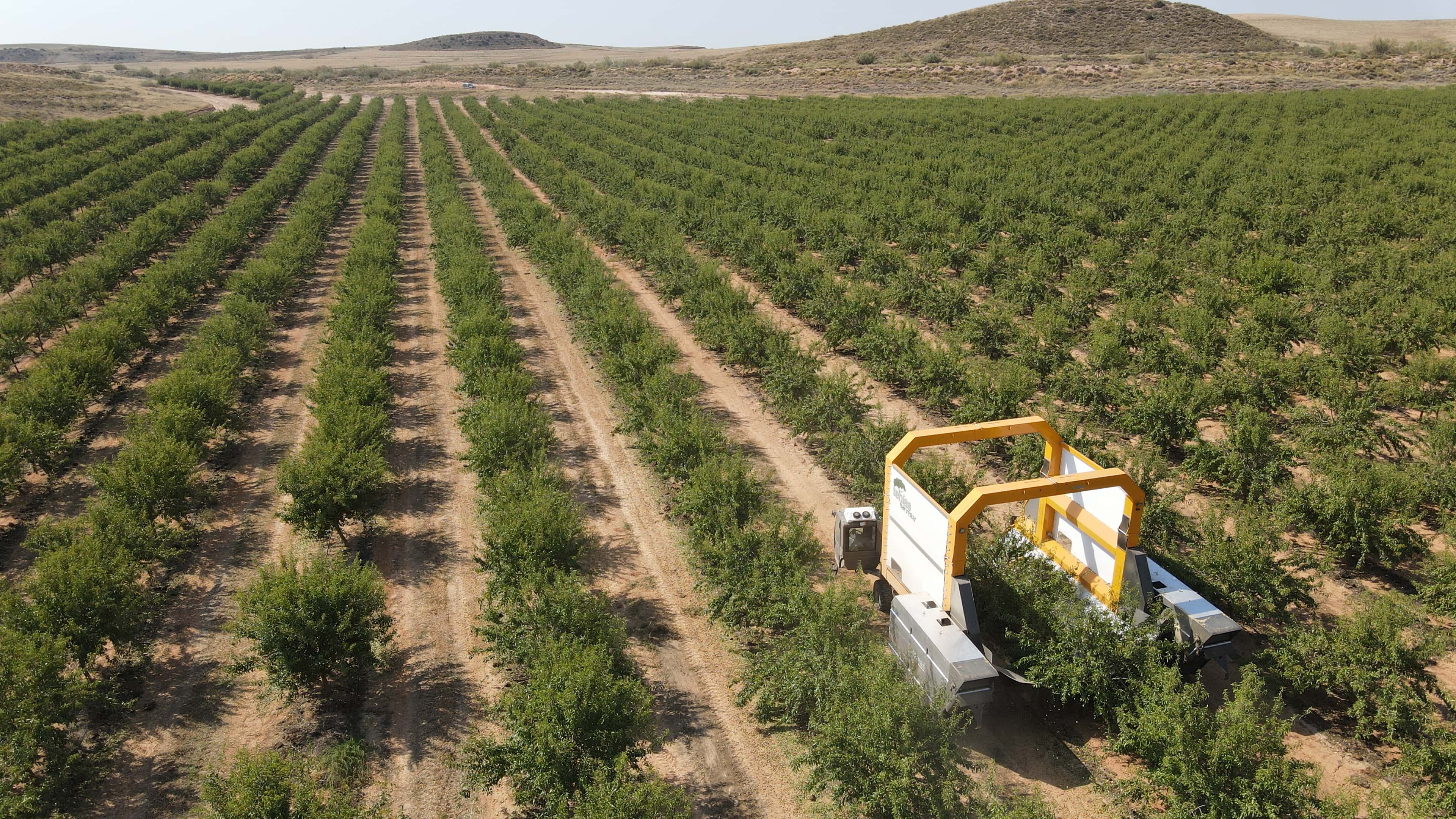 Tenias Harvester thumbnail 6