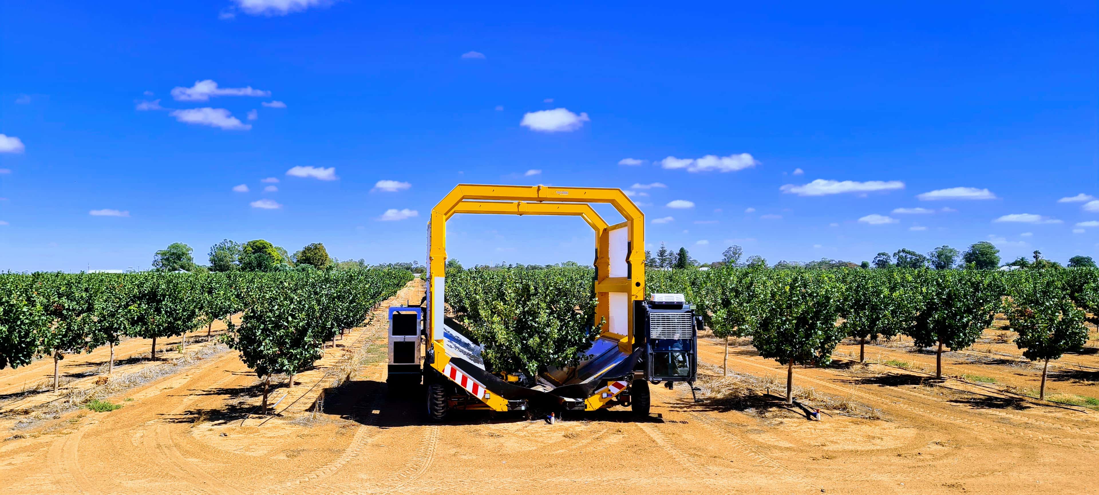 Tenias Harvester thumbnail 7