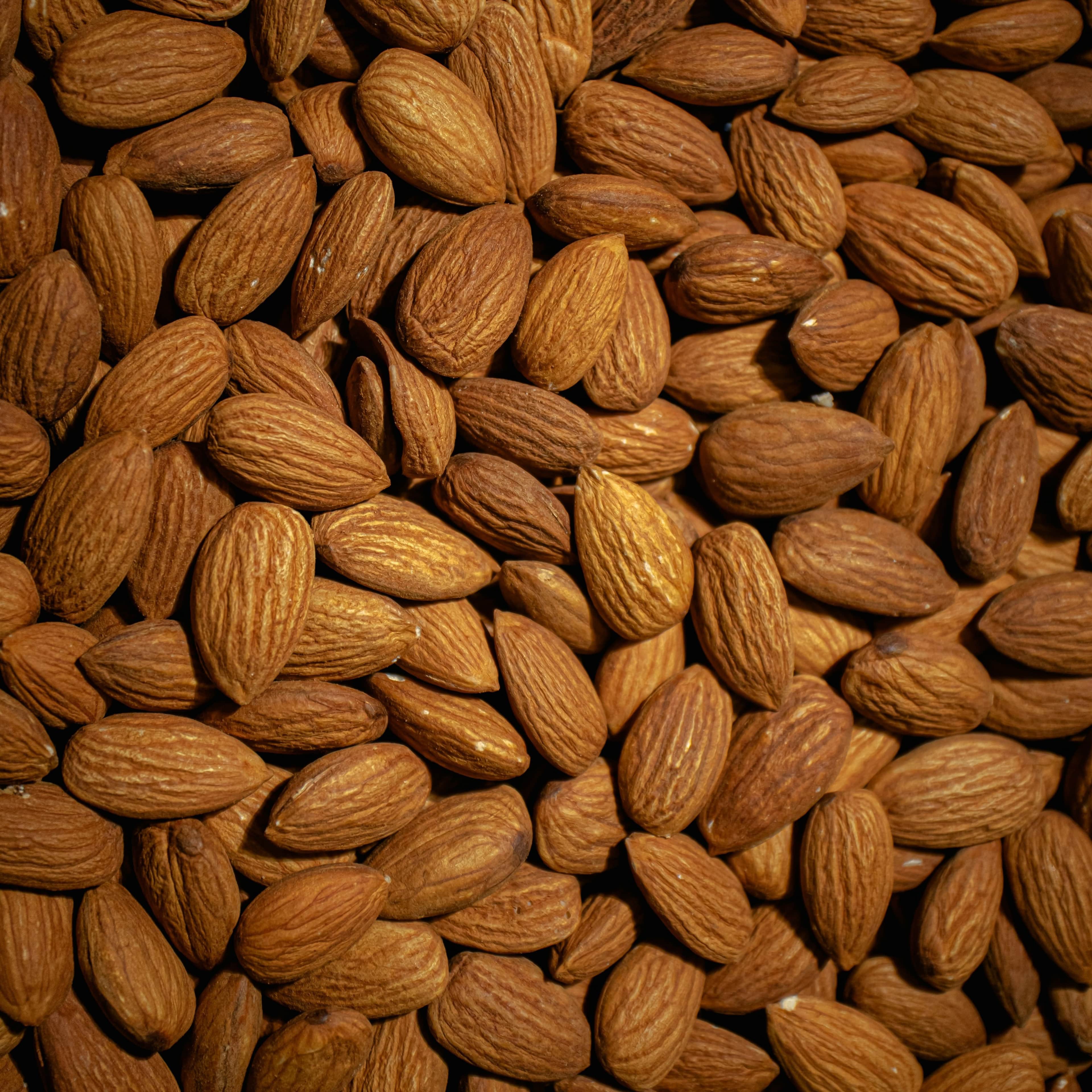 Almond processing equipment