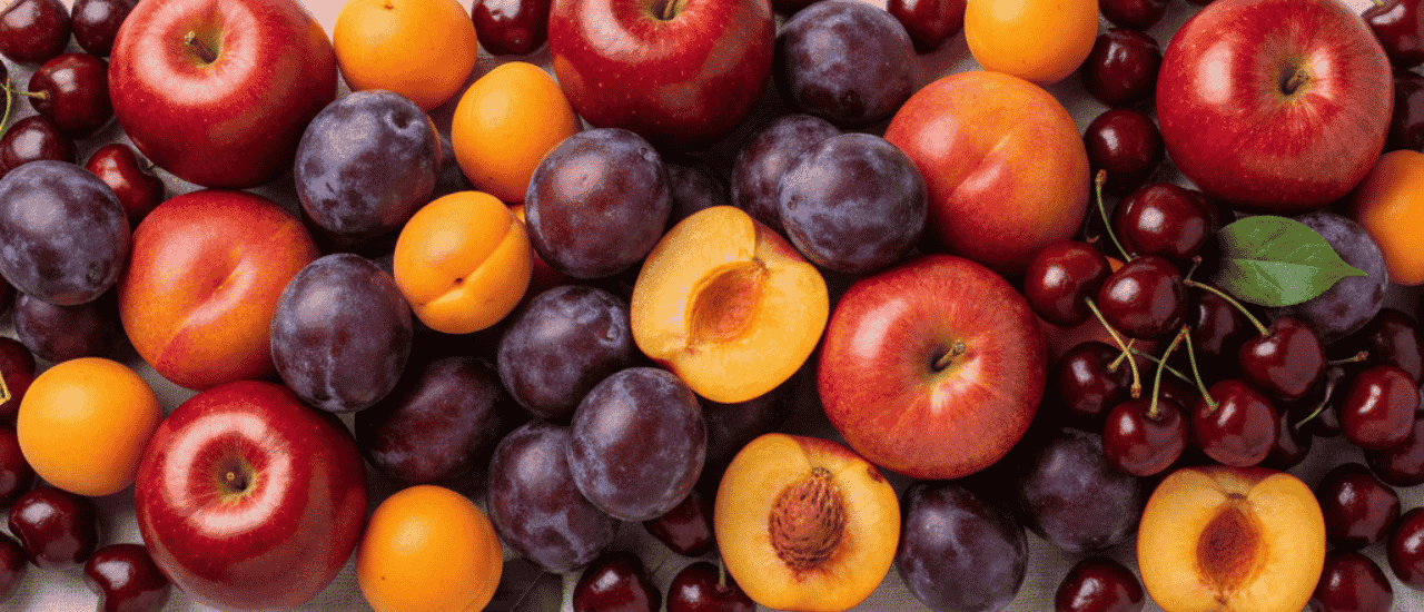 Stone fruit processing equipment