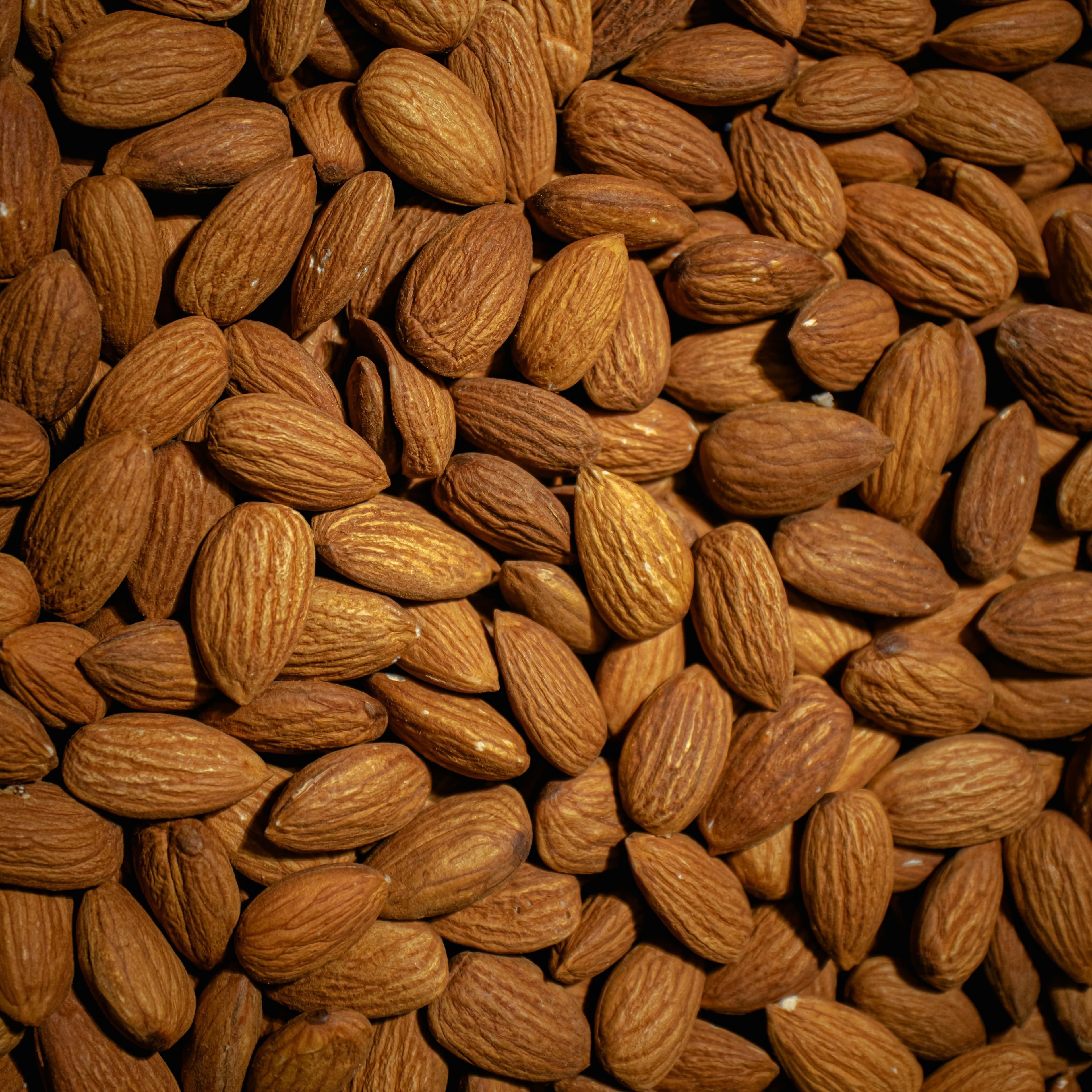 Almond processing equipment