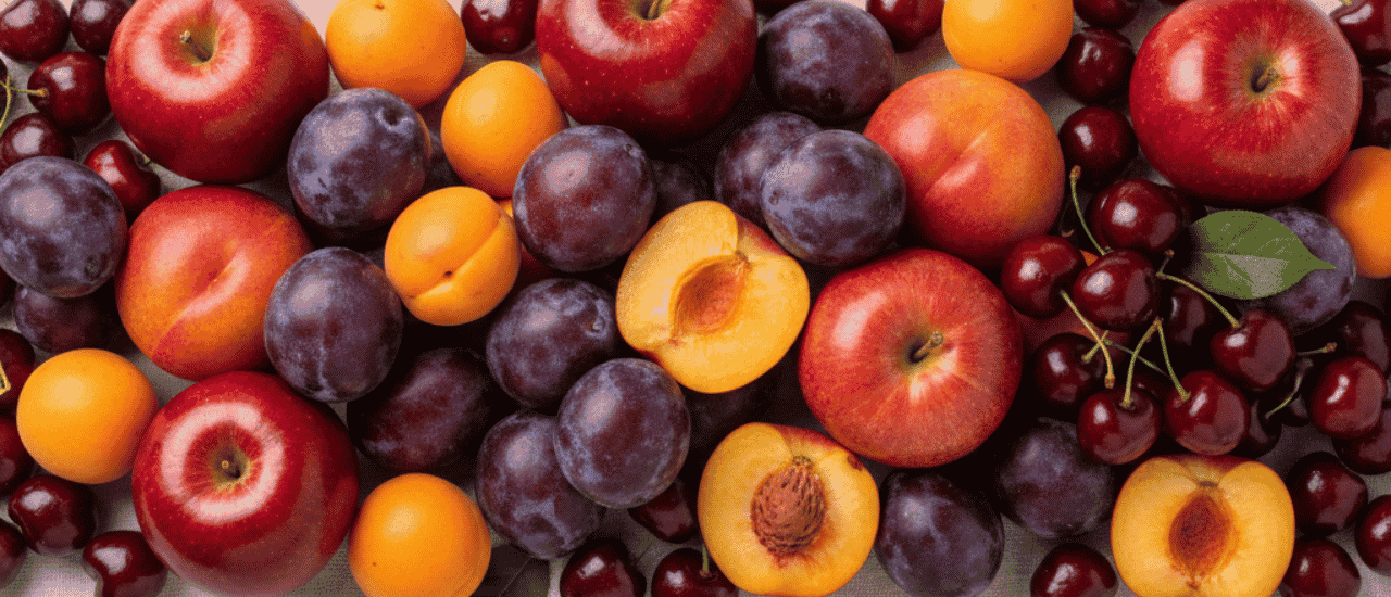 Stone fruit processing equipment