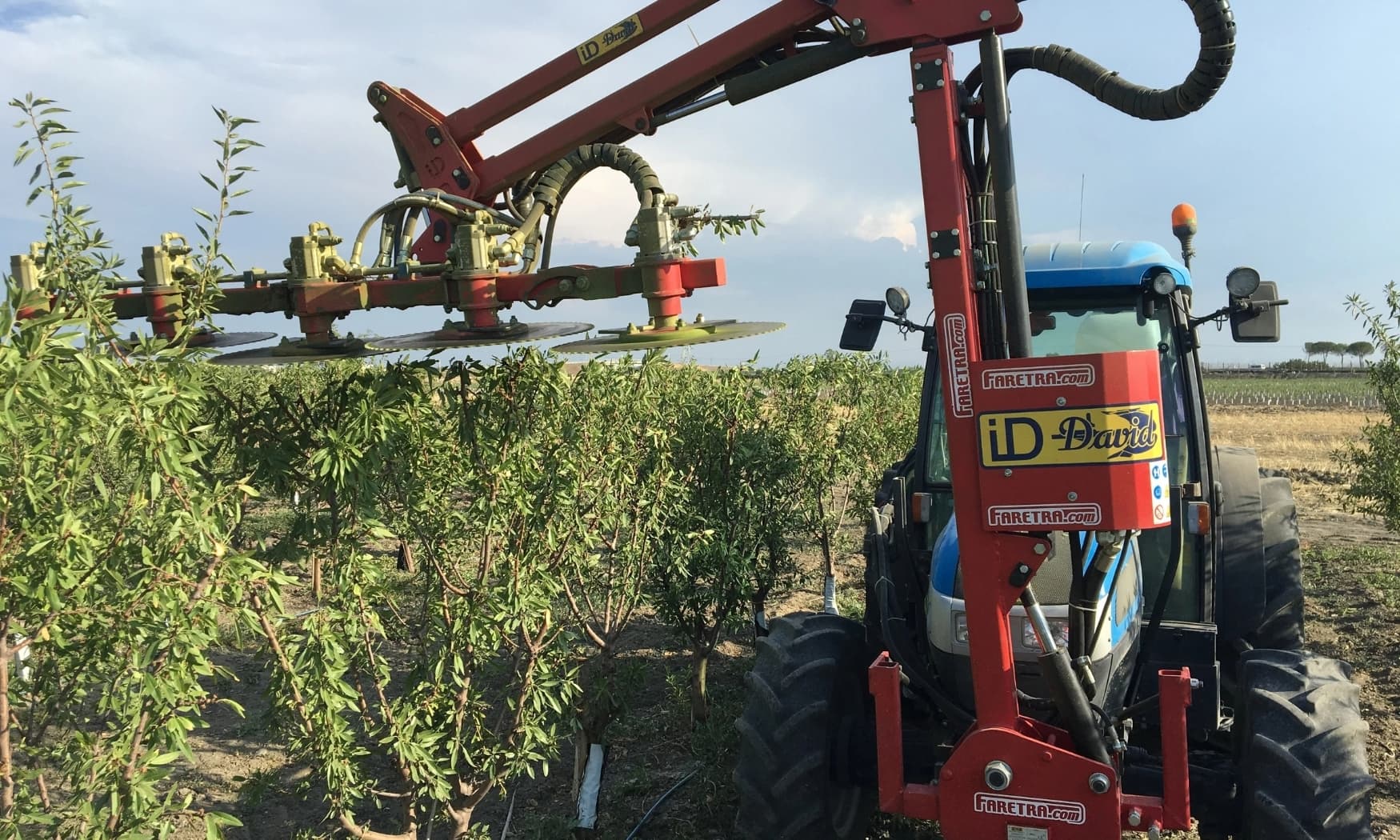 Almond Orchard Care & Maintenance in France