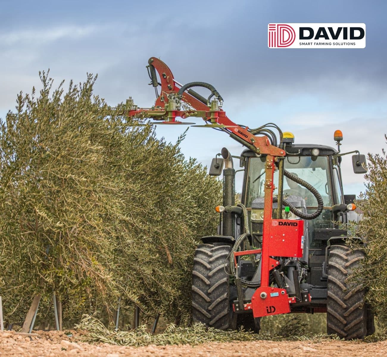 Pruning: ID DAVID V1 Disc Pruner