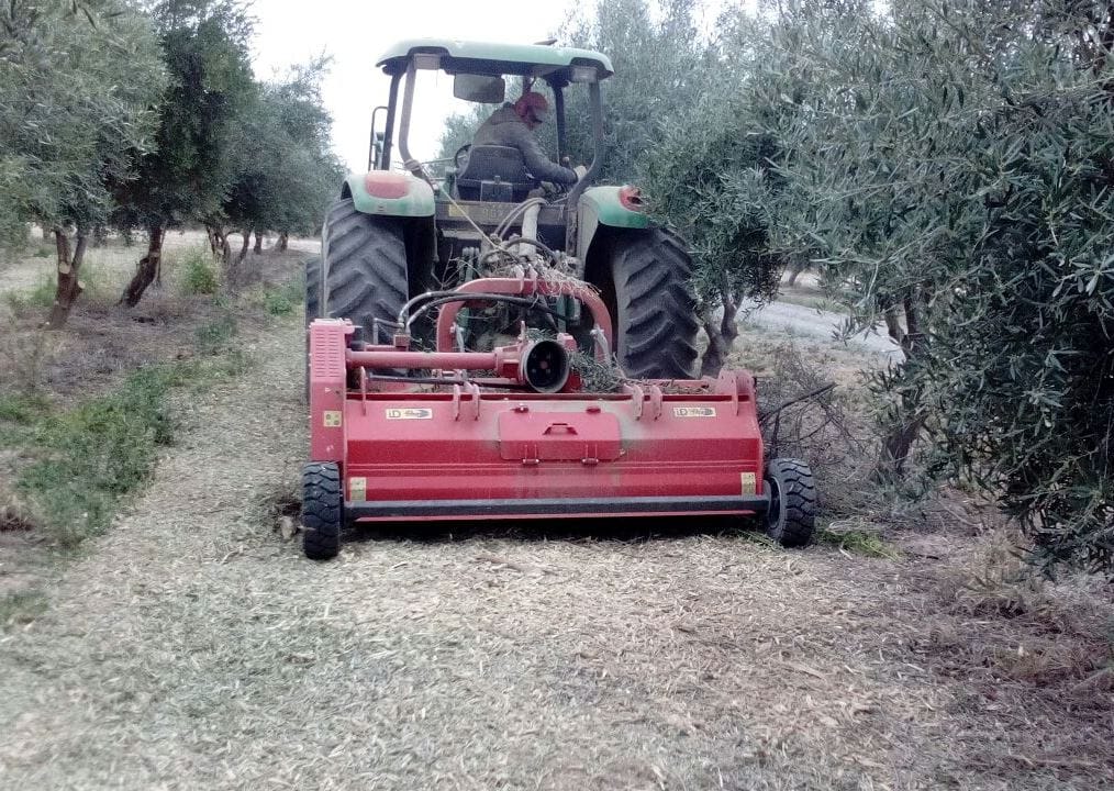 ID DAVID TD-KERR Flail Mower with Double Pick-Up thumbnail 2