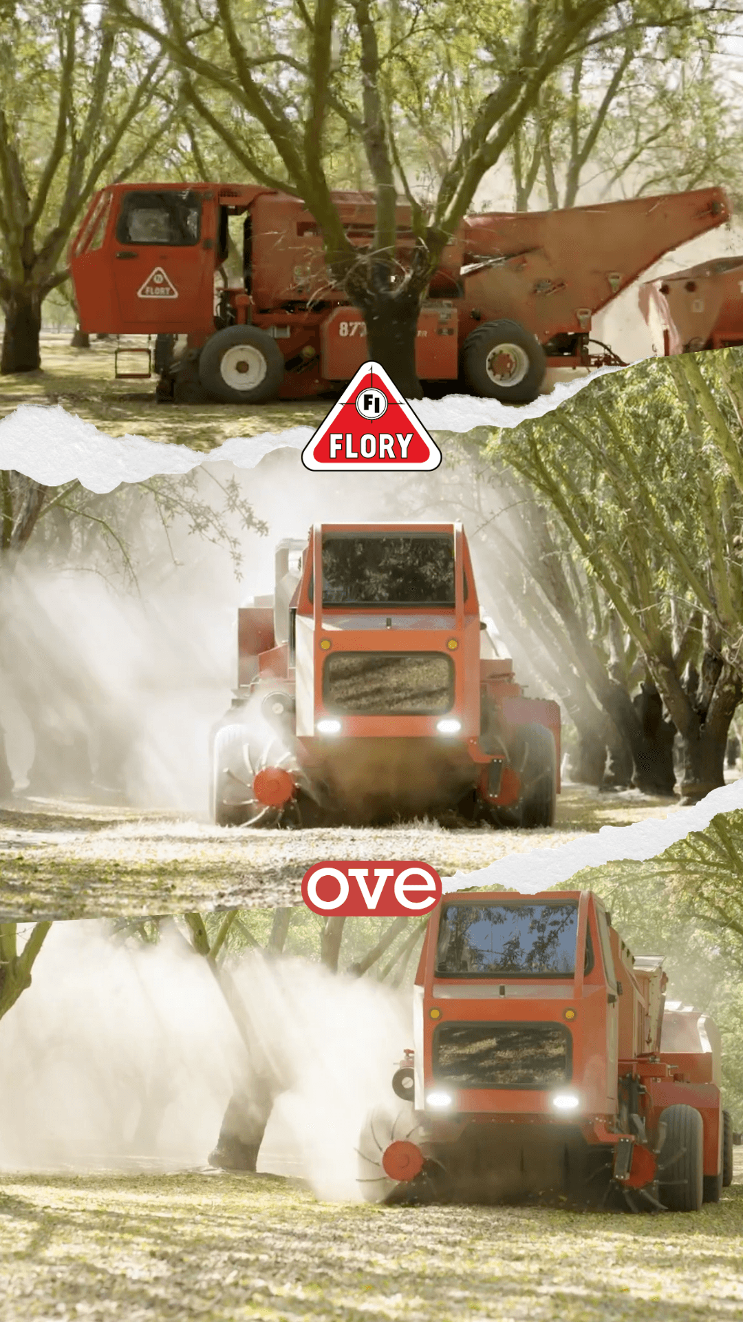 Самоходный комбайн Flory 8772: одна машина для разных ореховых культур - OVE Europe blog article cover image