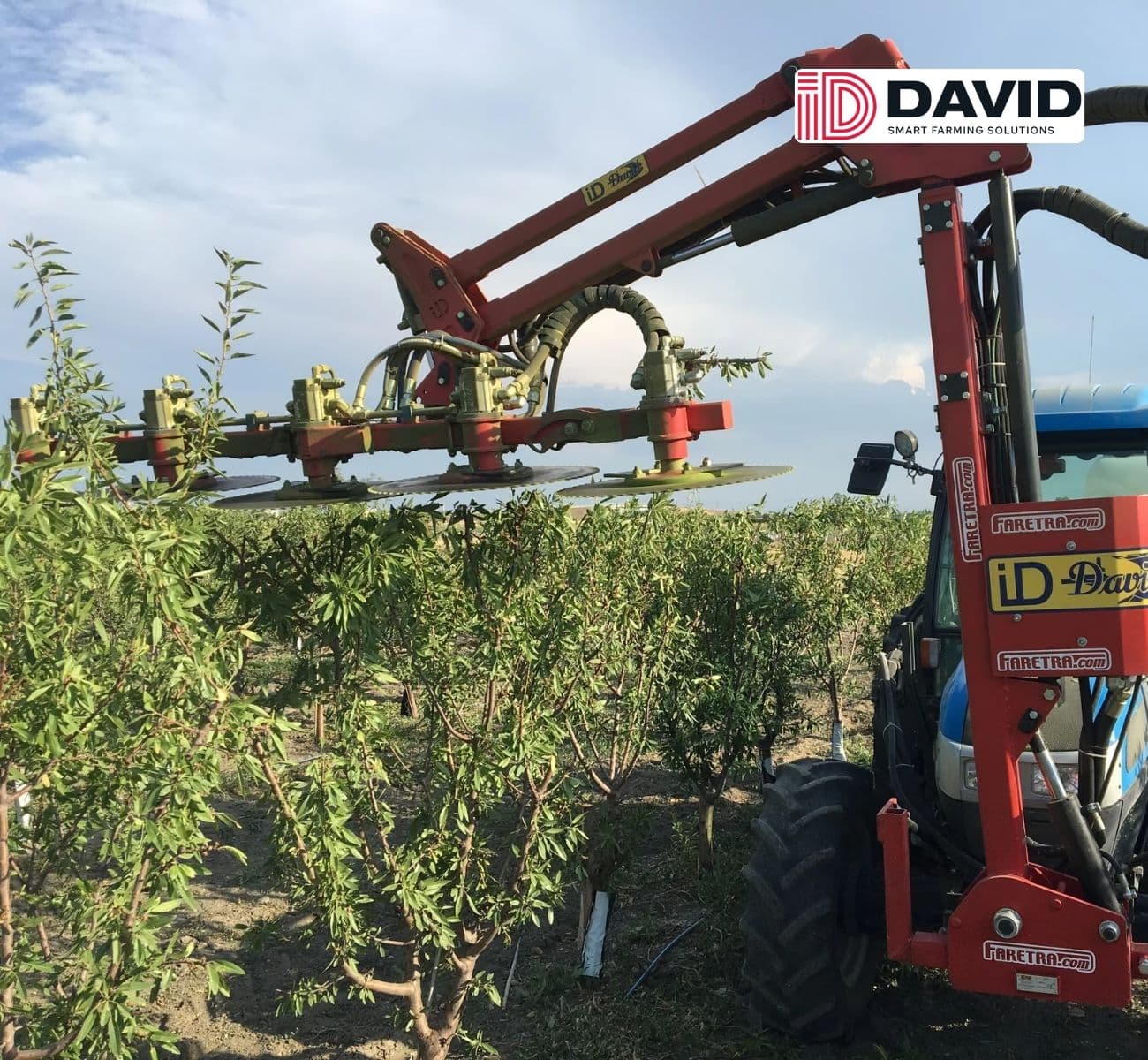 Pruning: ID DAVID V1 Disc Pruner