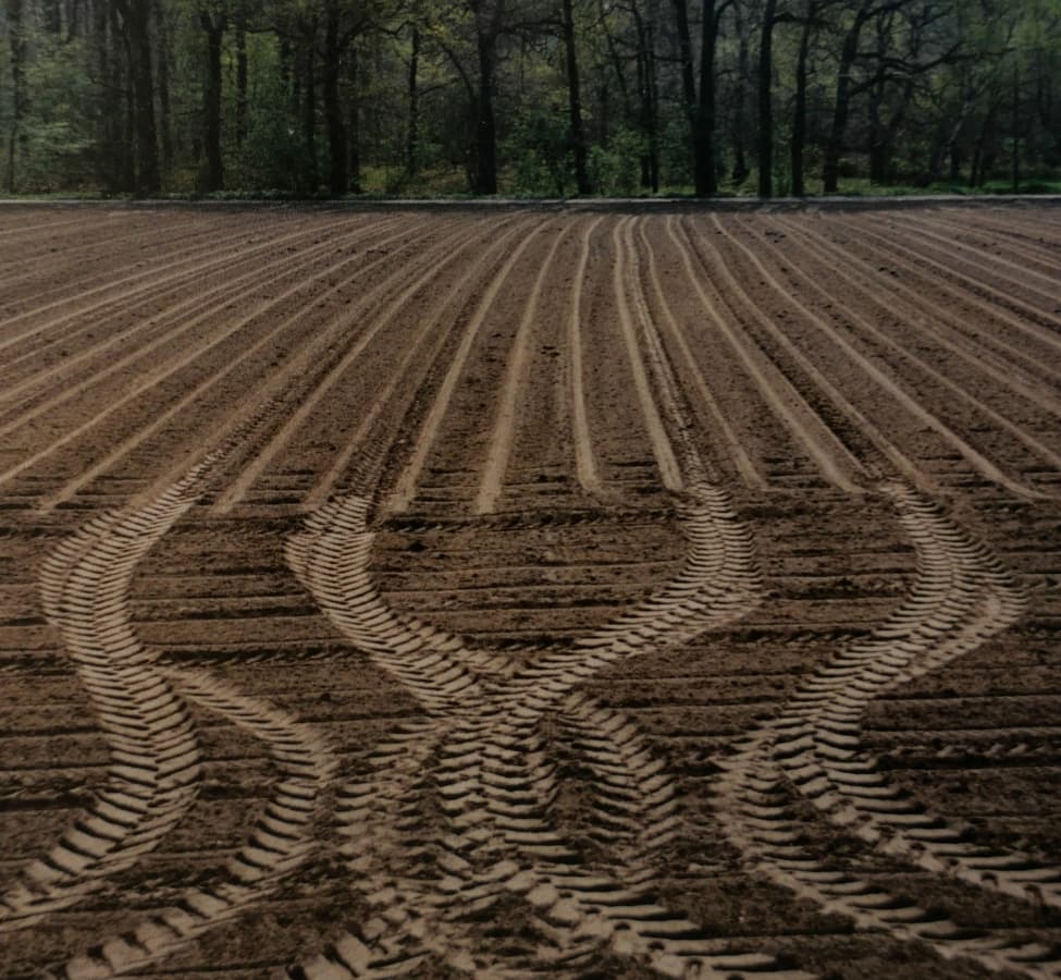Land Preparation Before Planting