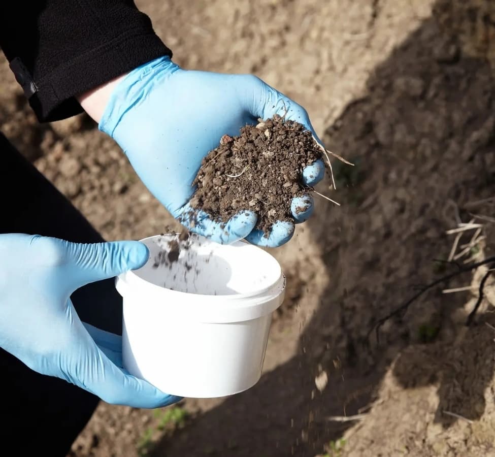 Soil & Site Assessment