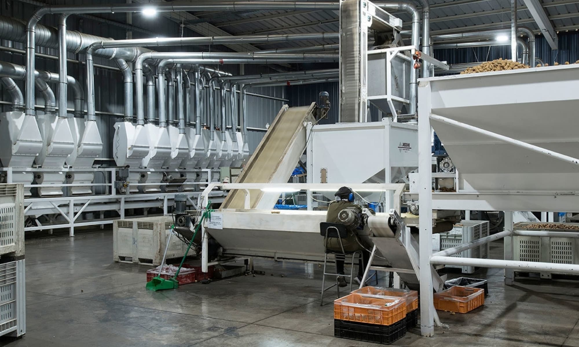 Walnut Post-Harvest Handling & Processing in Moldova