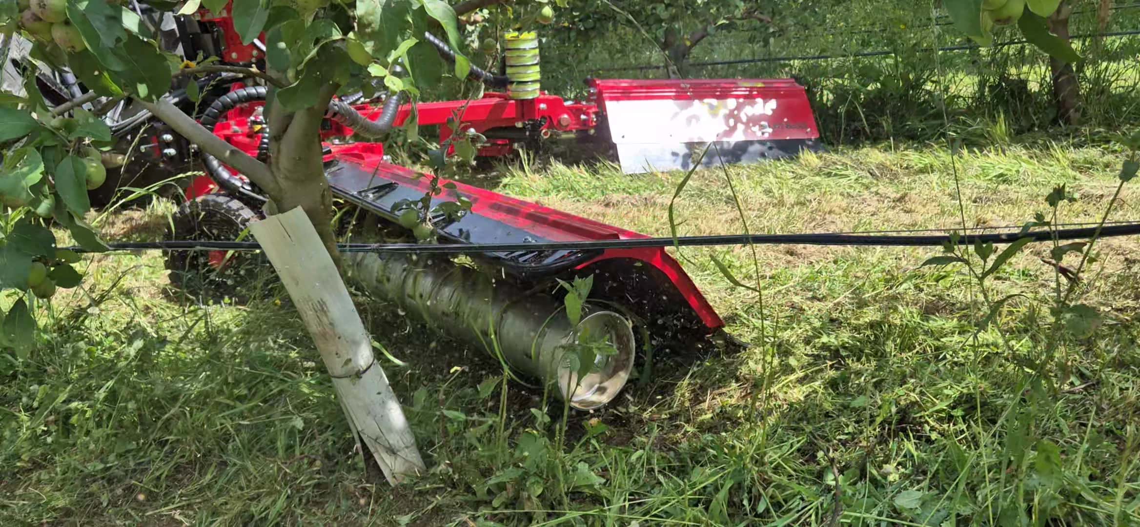 ID DAVID LAT&GO Between-Rows String Mower thumbnail 3