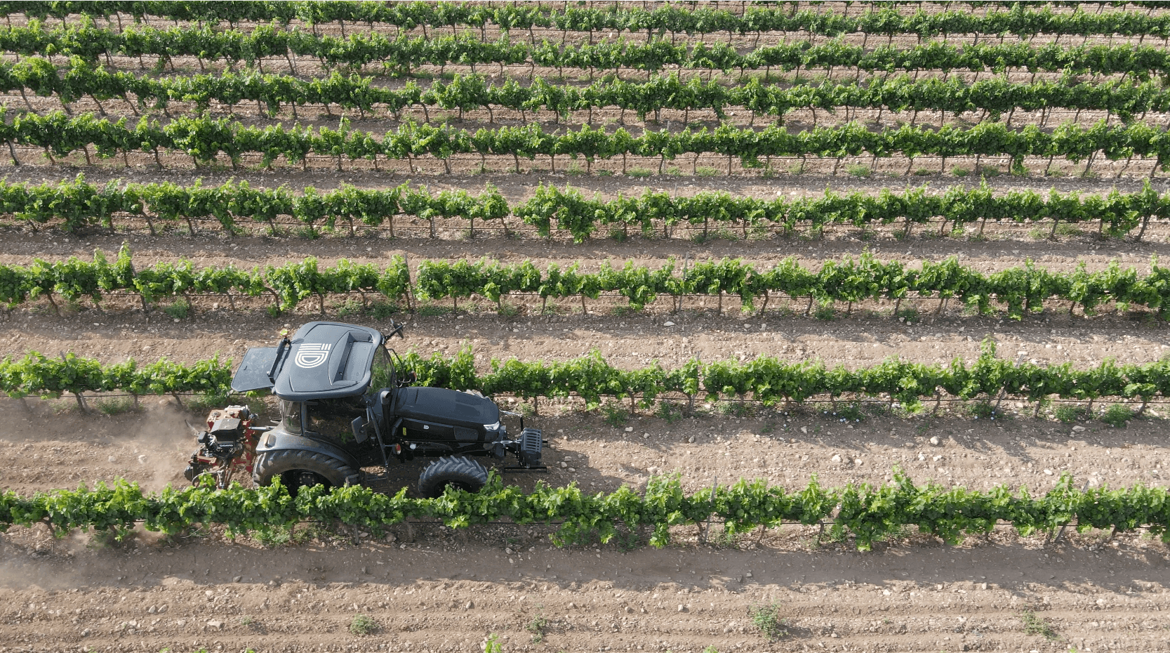 ID DAVID ID-NAMIC Reversible In-Row Weeder Frame thumbnail 3