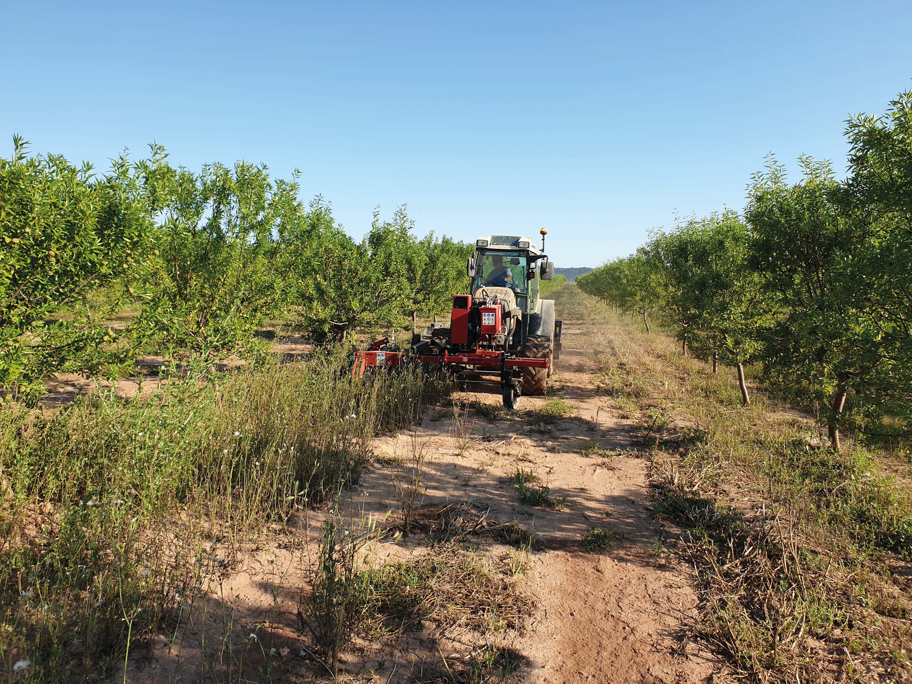 ID DAVID FRONT-XL Front In-Row Weeder for Orchards thumbnail 2