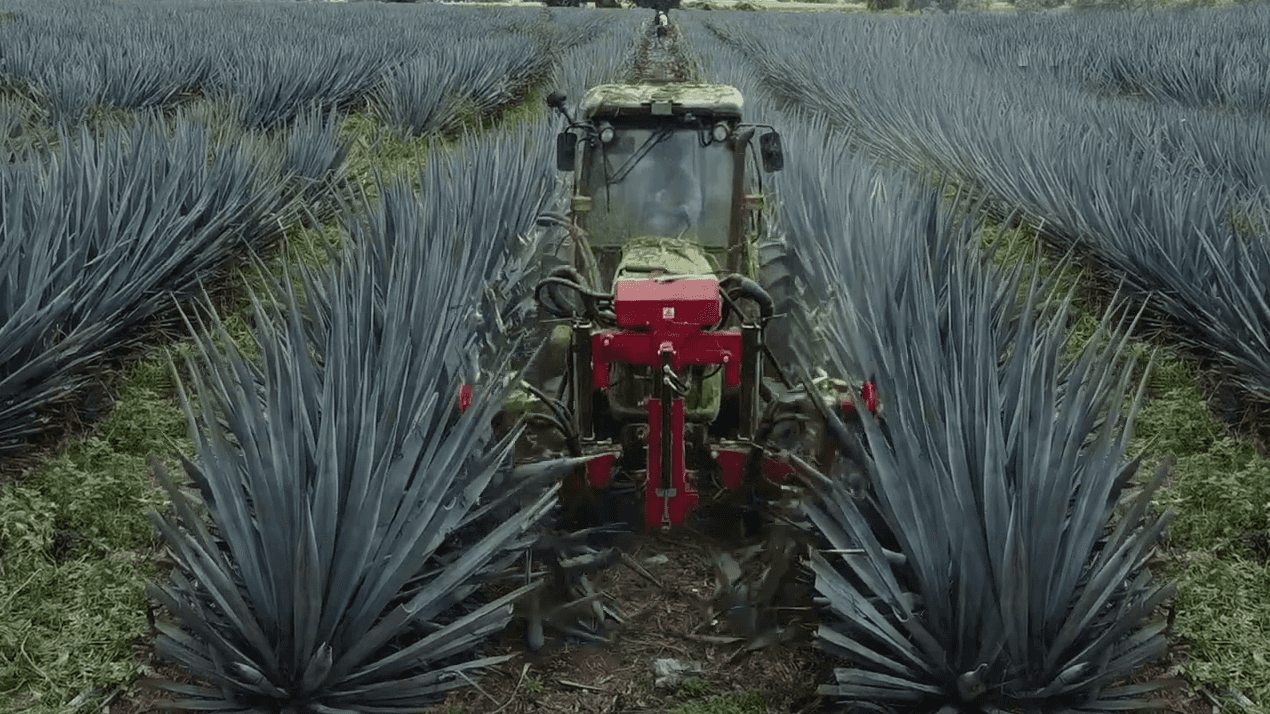 ID DAVID TRIM-PRO Hedge Disc Pruner thumbnail 2