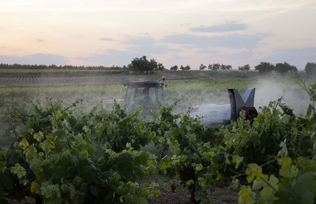 Mañez Lozano Narrow Twister Espaldera Sprayer thumbnail 7