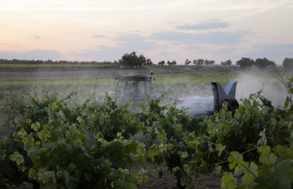 Mañez Lozano Narrow Twister Espaldera Sprayer thumbnail 7