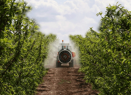 Mañez Lozano Citrus Mounted Sprayer thumbnail 2